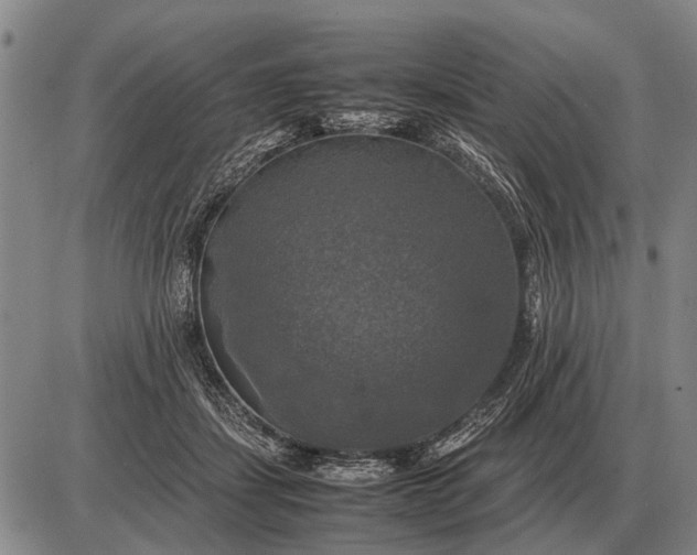 X0000085270459200703231745