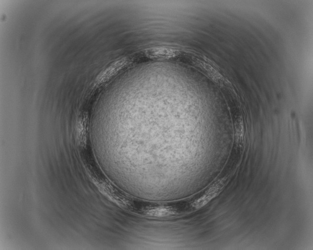 X0000085270460200703231745