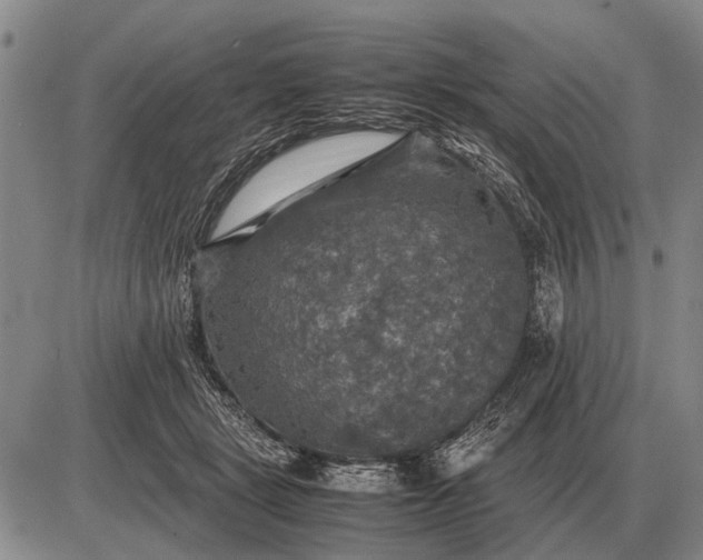 X0000085270461200703231745