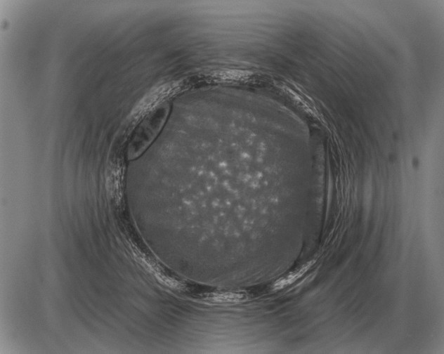 X0000085270462200703231745