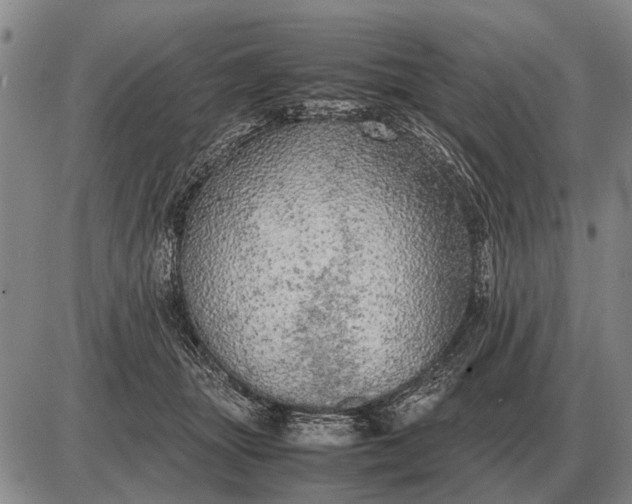 X0000085270463200703231745