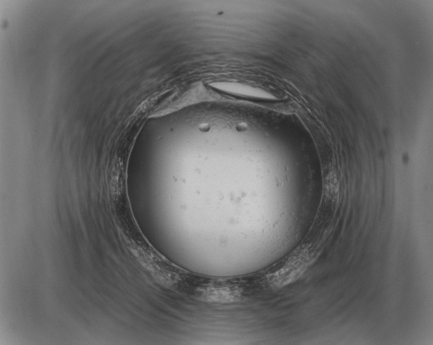 X0000085270464200703231745