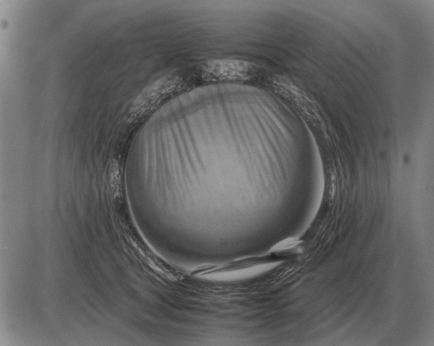 X0000085270465200703231745