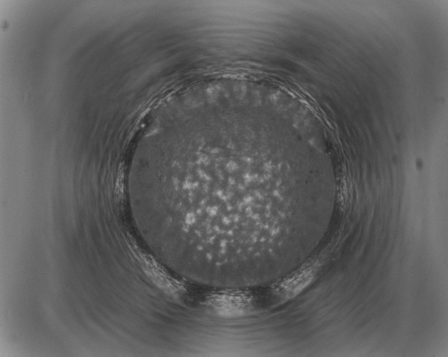 X0000085270466200703231745