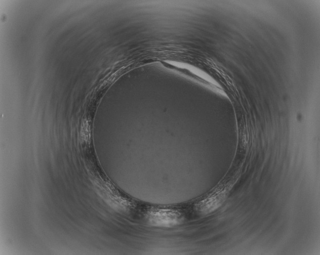 X0000085270467200703231745