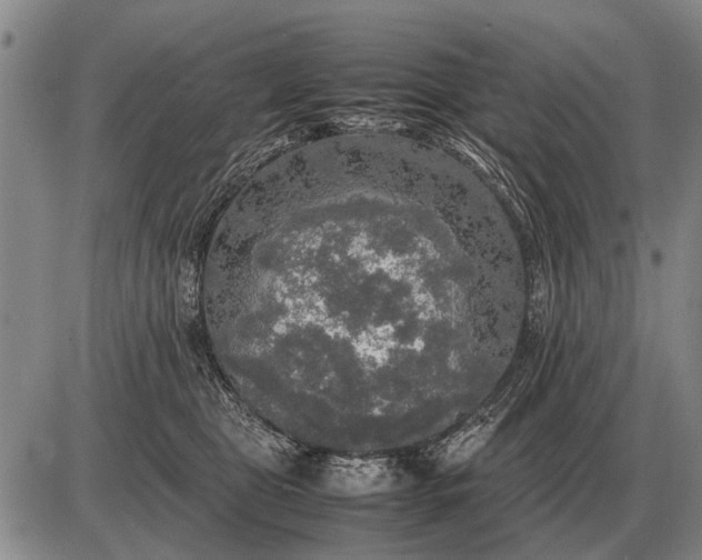 X0000085270469200703231745