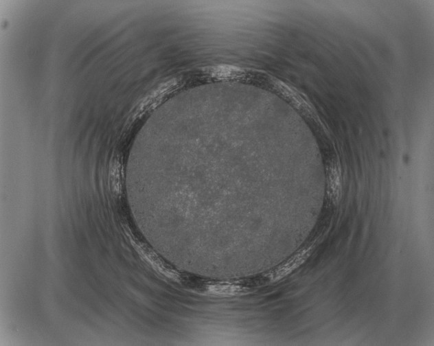 X0000085270470200703231745