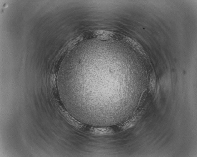 X0000085270473200703231745