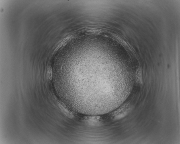 X0000085270474200703231745