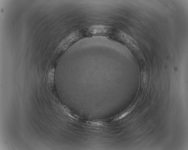 X0000085270475200703231745