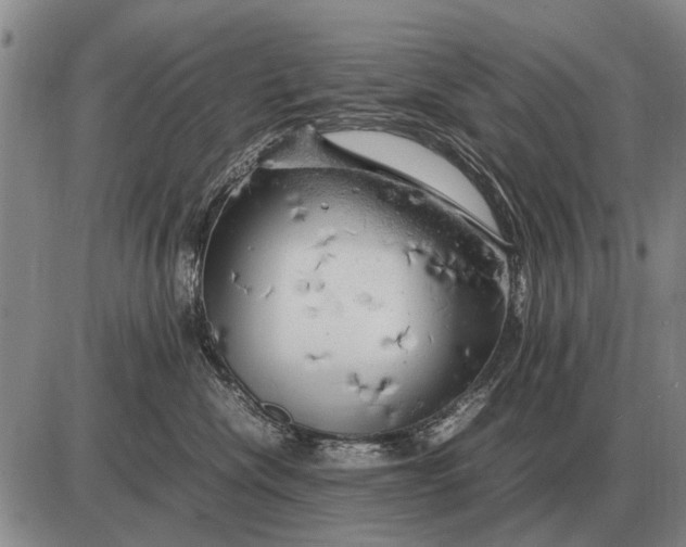 X0000085270476200703231745