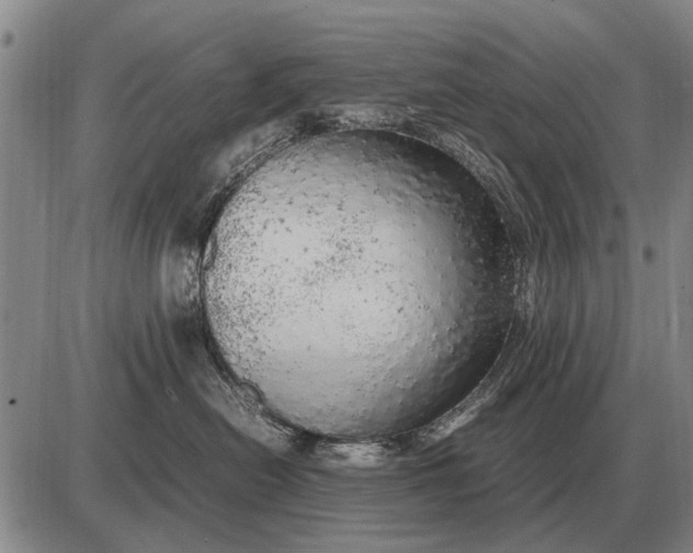 X0000085270478200703231745