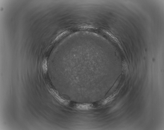 X0000085270479200703231745