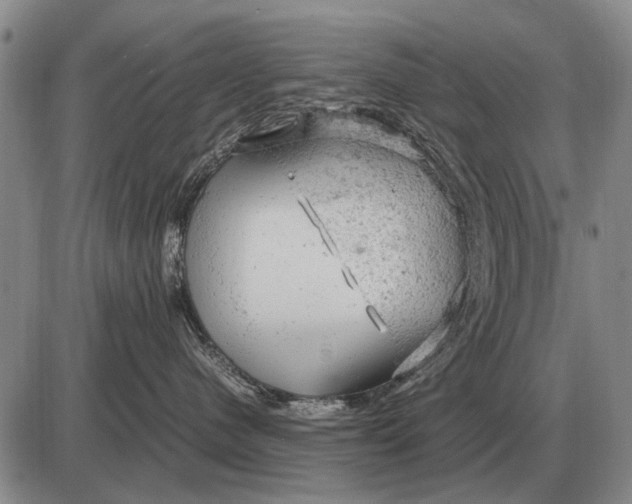 X0000085270480200703231745