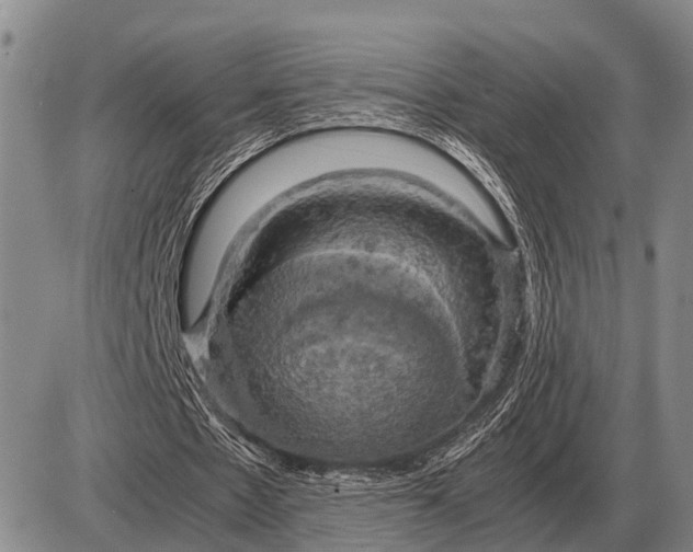 X0000085270481200703231745