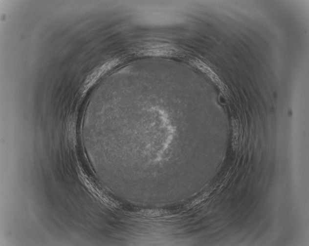 X0000085270482200703231745