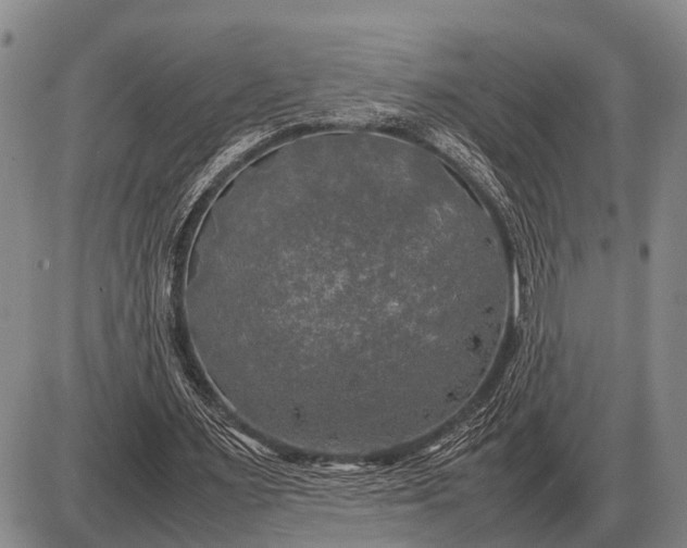 X0000085270483200703231745