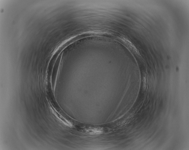 X0000085270484200703231745