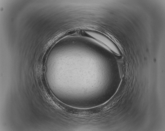 X0000085270485200703231745