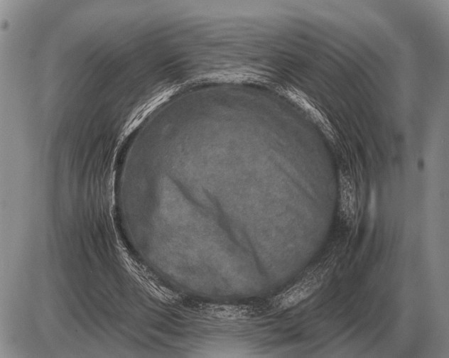 X0000085270486200703231745