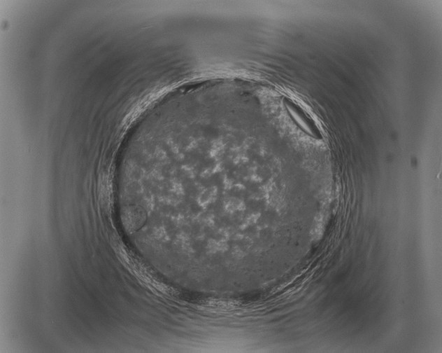 X0000085270487200703231745