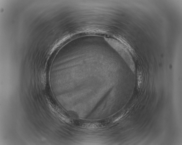 X0000085270488200703231745