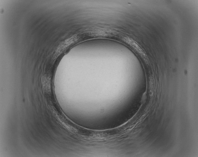 X0000085270489200703231745