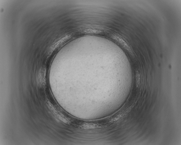 X0000085270490200703231745