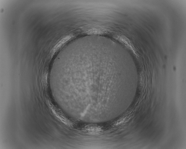 X0000085270491200703231745