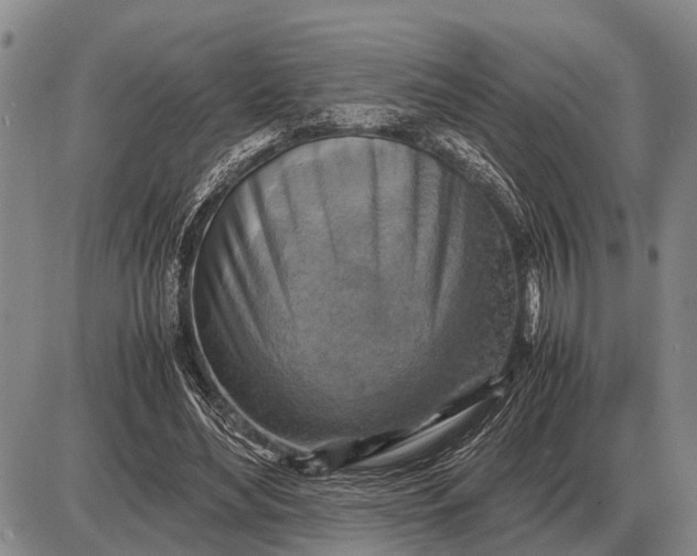 X0000085270492200703231745