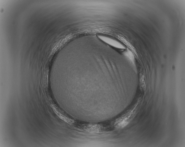 X0000085270493200703231744