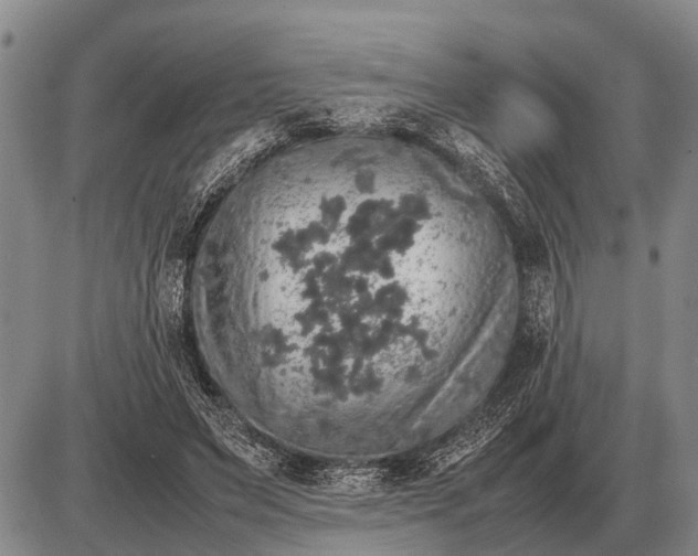 X0000085270495200703231744