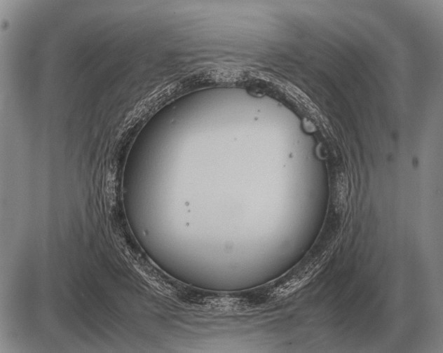 X0000085270497200703231744