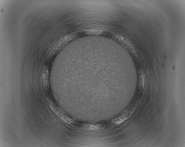 X0000085270498200703231744