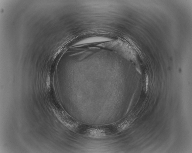 X0000085270500200703231744