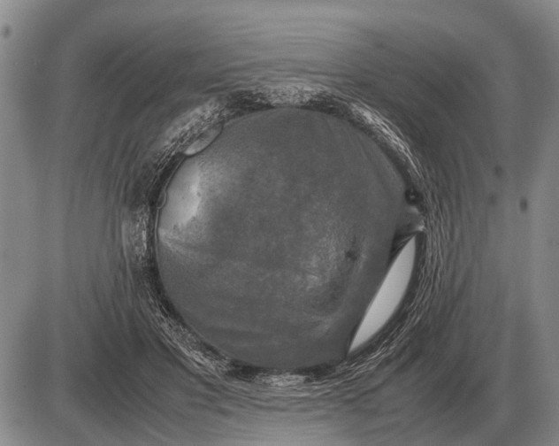 X0000085270501200703231744