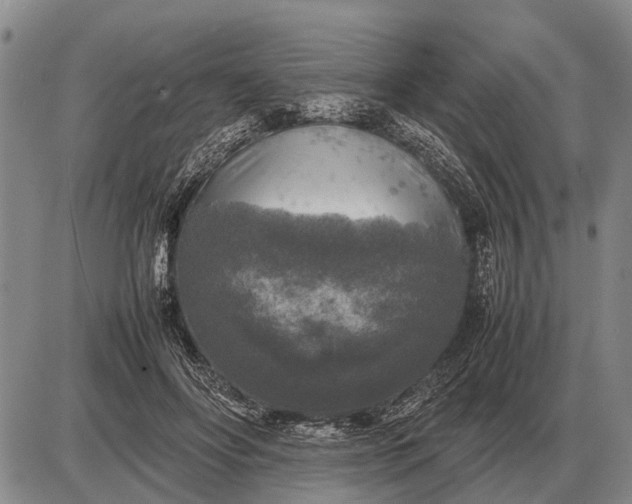 X0000085270502200703231744