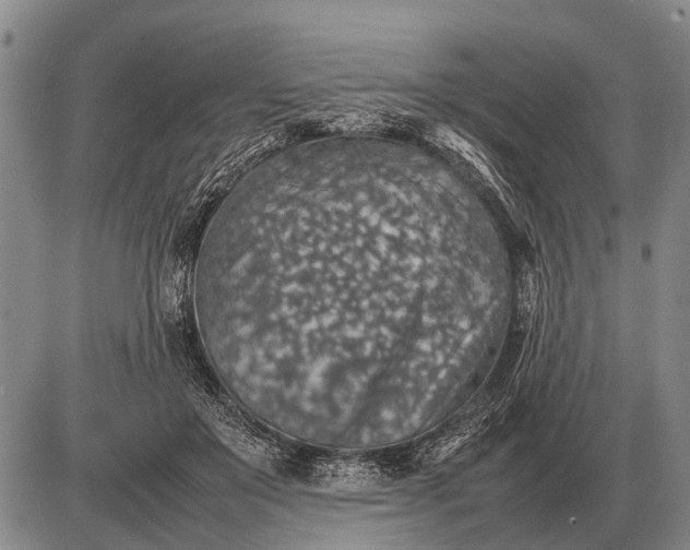 X0000085270503200703231744