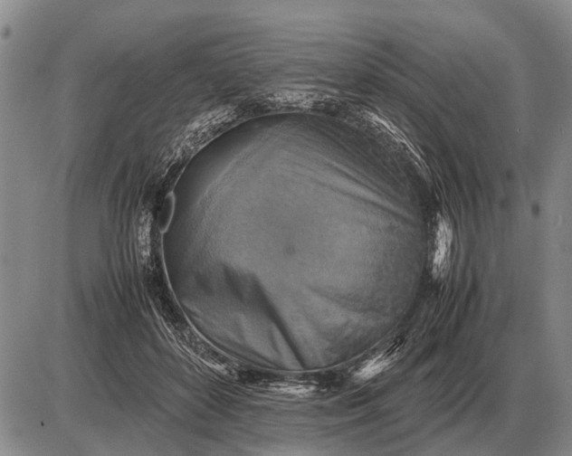 X0000085270504200703231744