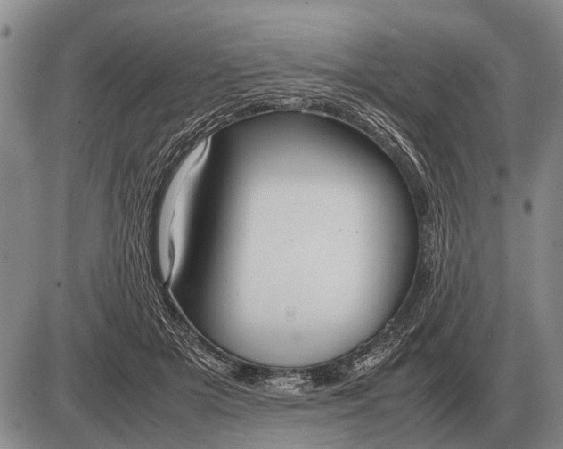 X0000085270505200703231744