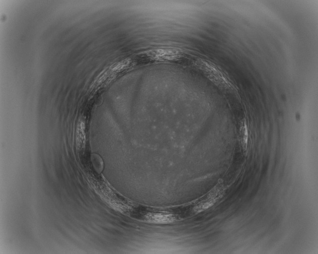 X0000085270506200703231744