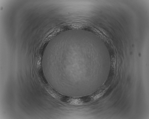 X0000085270507200703231744