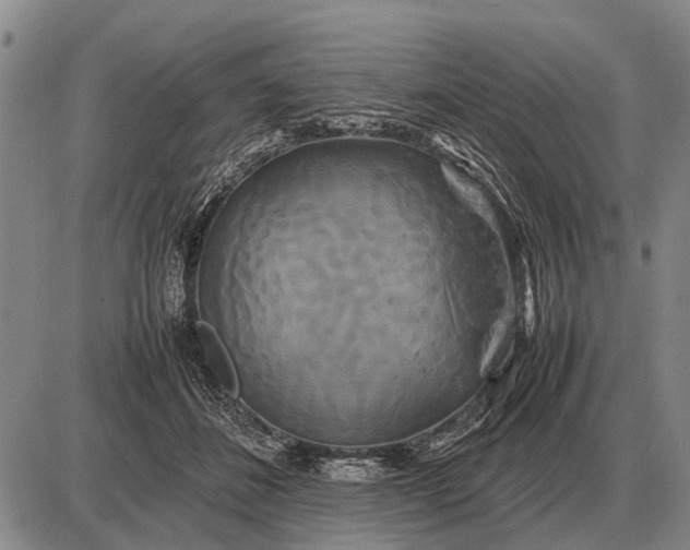 X0000085270508200703231744