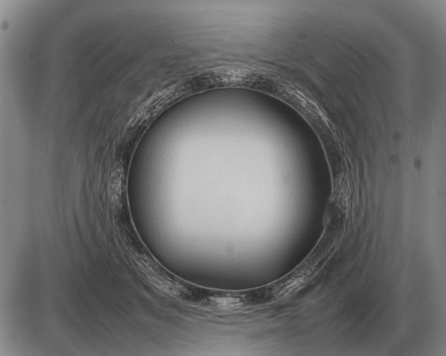 X0000085270509200703231744