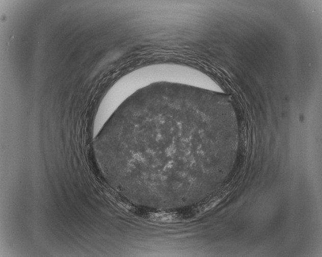 X0000085270511200703231744