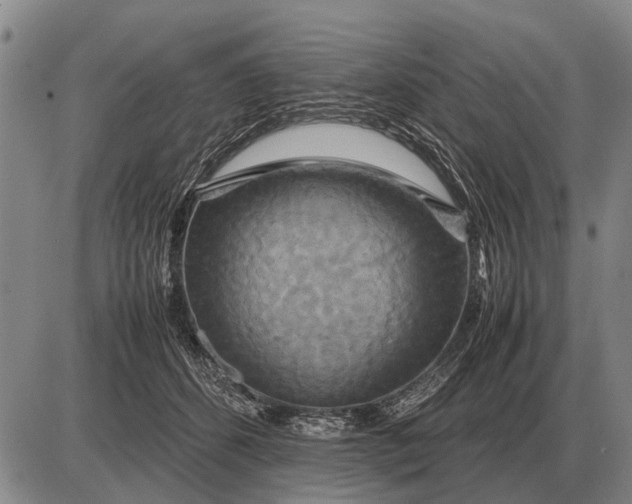 X0000085270512200703231744