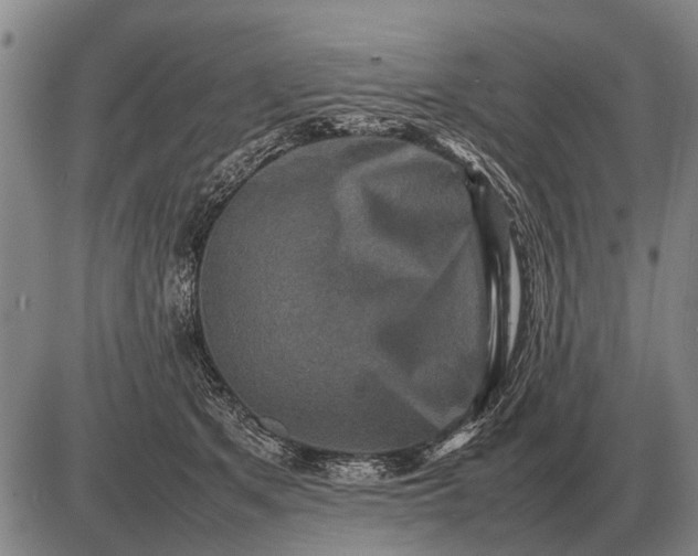 X0000085270513200703231744