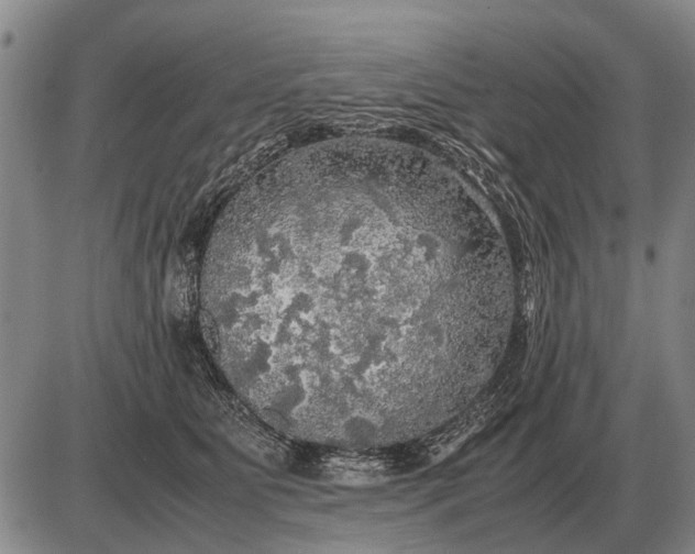 X0000085270515200703231744