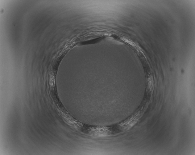 X0000085270517200703231744