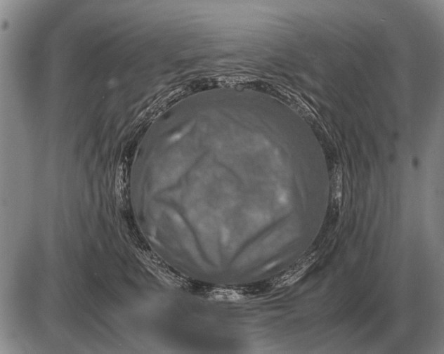 X0000085270519200703231744